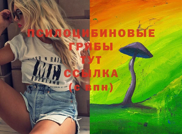 молекула духа Волосово