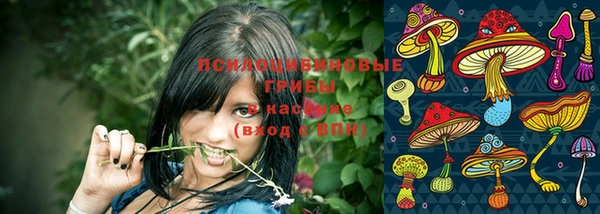 молекула духа Волосово